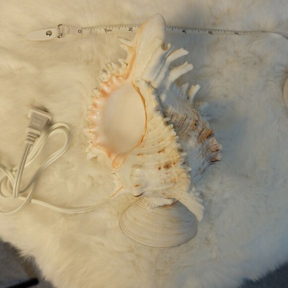 Seashell Lamp Night Light NWOT - Picture 10 of 10